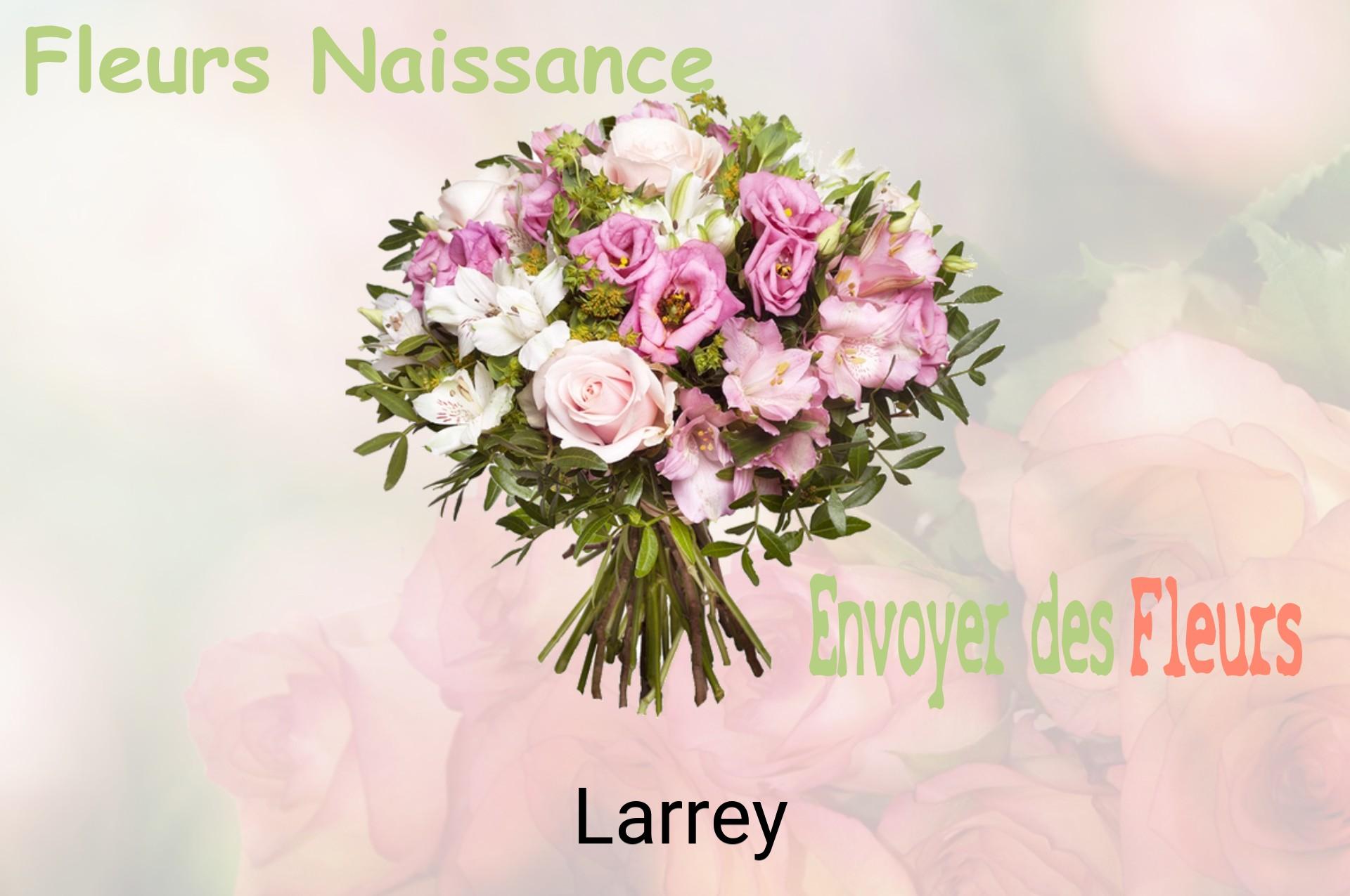 Bouquet de fleurs de naissance livré à Larrey