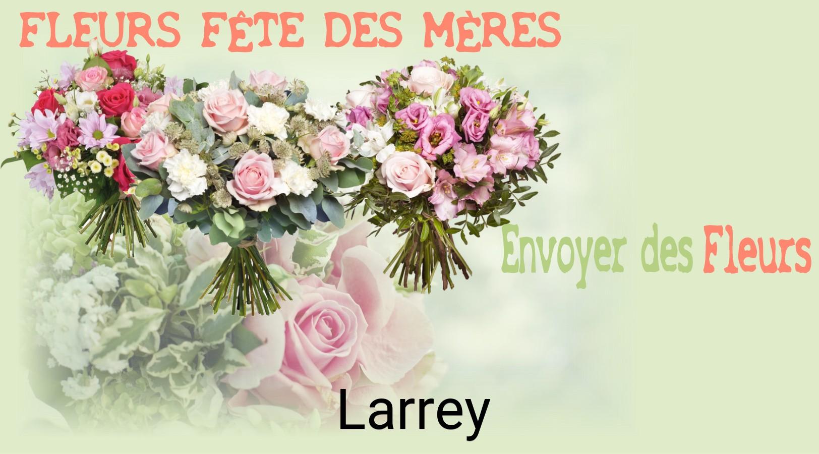 Bouquet de Fête des Mères livré à Larrey